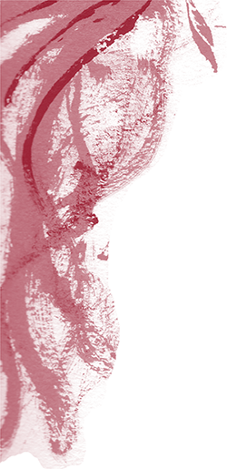 bok red